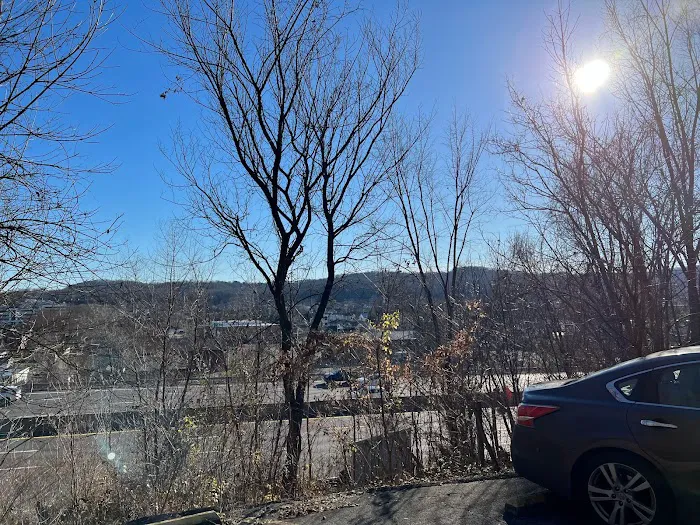 Design Roofing Picture 10