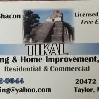 TIKAL ROOFING ico