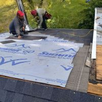 Al's Roofing & Repair ico