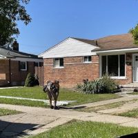 Big Al's Roofing ico