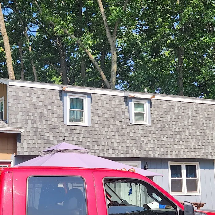 Schelfo Roofing Picture 8