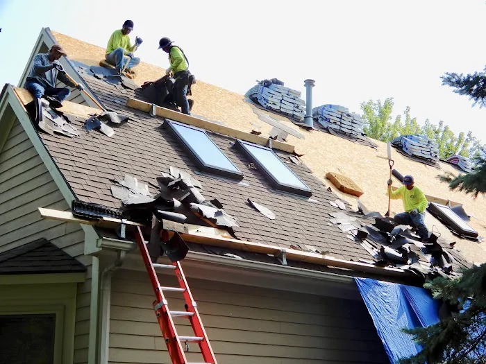 Roof Advance Picture 3