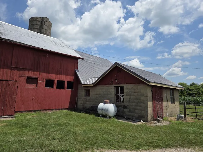 L-Nolt & Sons Picture 1