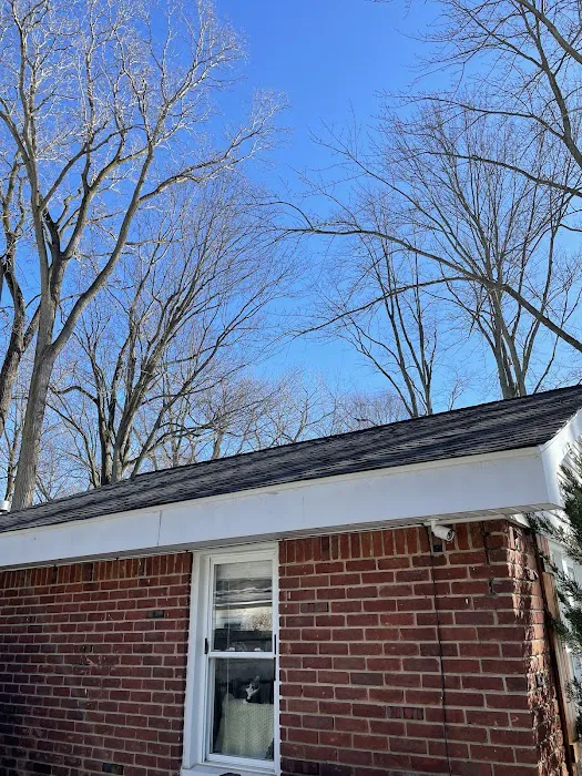 Big Ike's Roofing Picture 6