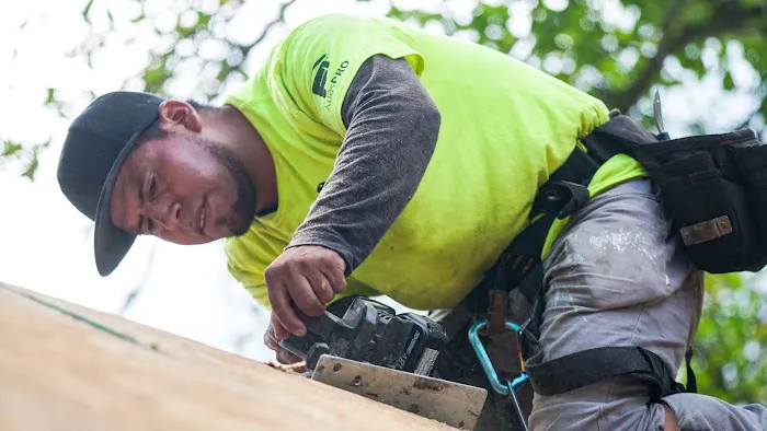 Schoenherr Roofing Picture 10