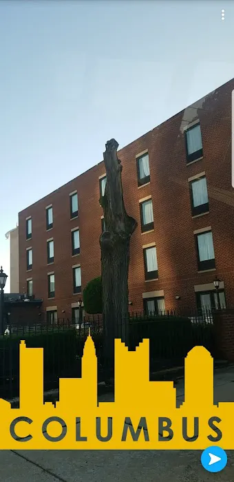 Coak Commerical Roofing Picture 7