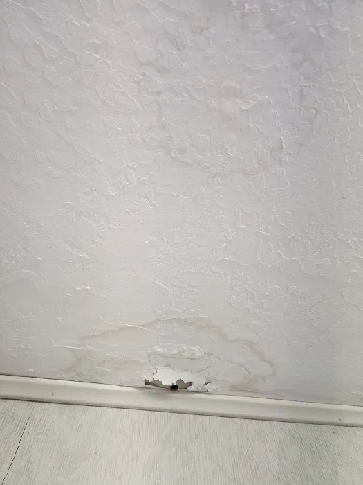 Springfield Commercial Roofing Picture 9