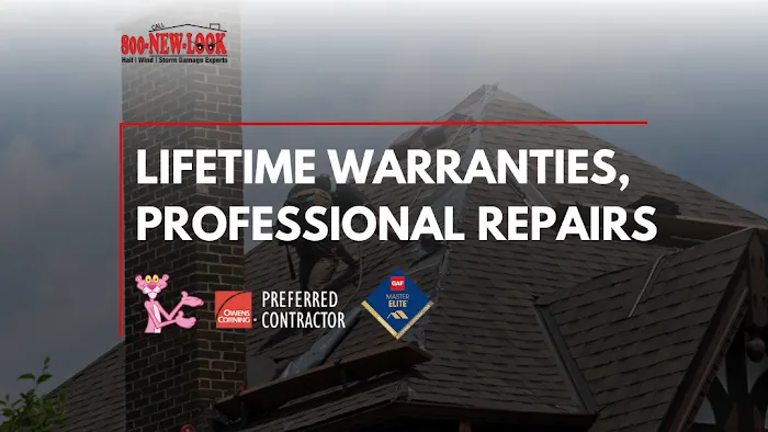 800 New Look Picture 3