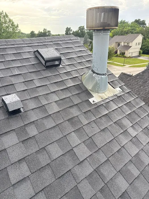 The Roof Company Picture 3