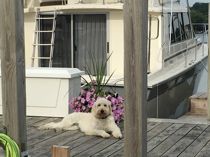 Roof-Rite, Inc Picture 7