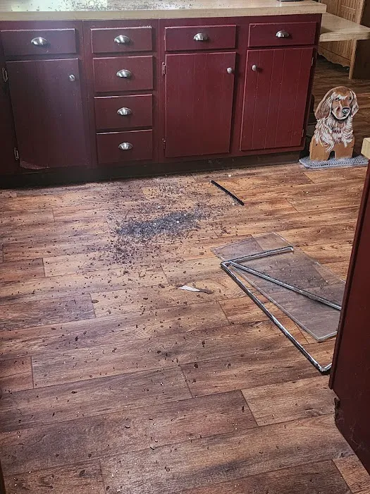 Ferguson Roofing Picture 2