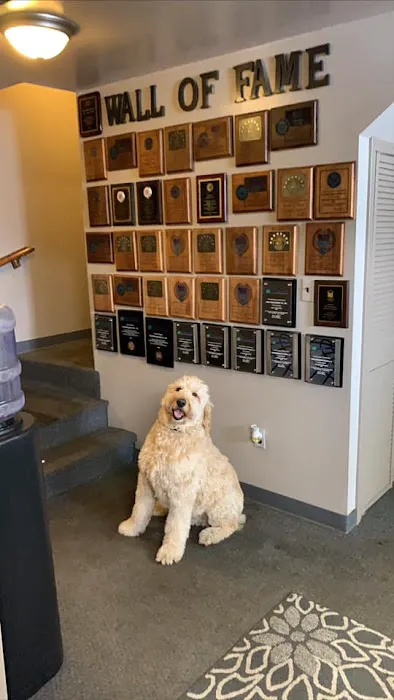 ROOF Management Picture 4