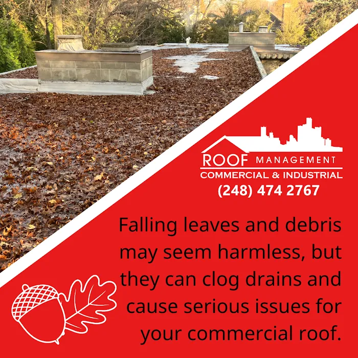 ROOF Management Picture 8