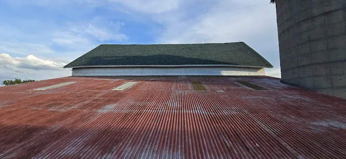 Alphalete Roofing Picture 4