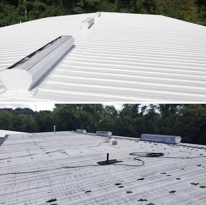 Professional Roofing Picture 1