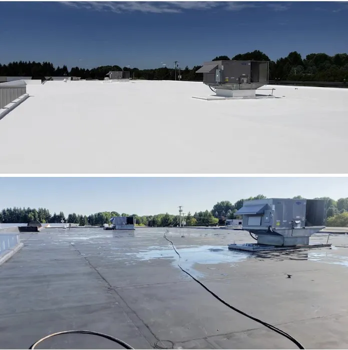 Professional Roofing Picture 3