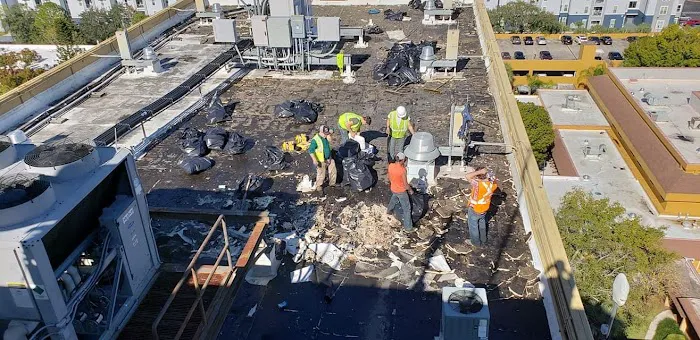 Professional Roofing Picture 5