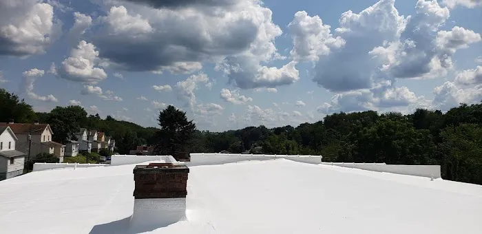 Professional Roofing Picture 8