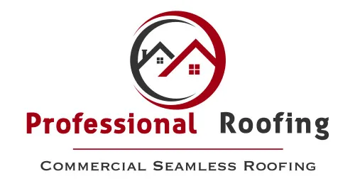 Professional Roofing Picture 7