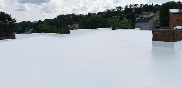 Professional Roofing Picture 10
