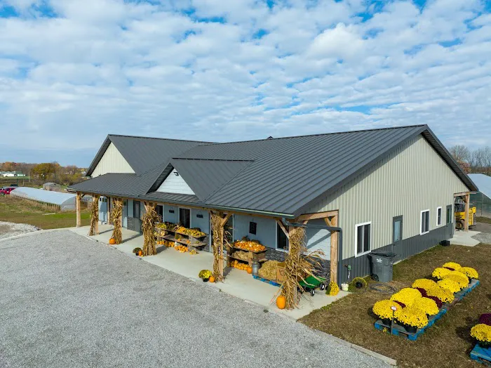 Clearview Roofing LLC Picture 1