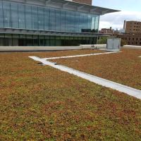 LaDuke Roofing & Sheet Metal ico