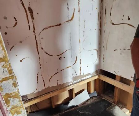 Crull Denny General Contractor