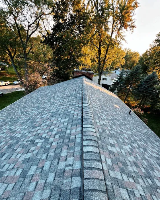 Eave Roofing Picture 2