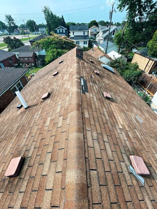 Eave Roofing Picture 7