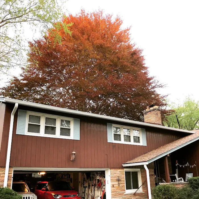 Sargent Roofing Picture 7