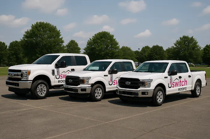 iSwitch Roofs Picture 2