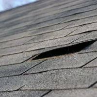 Hankins Homescapes of Lansing ico