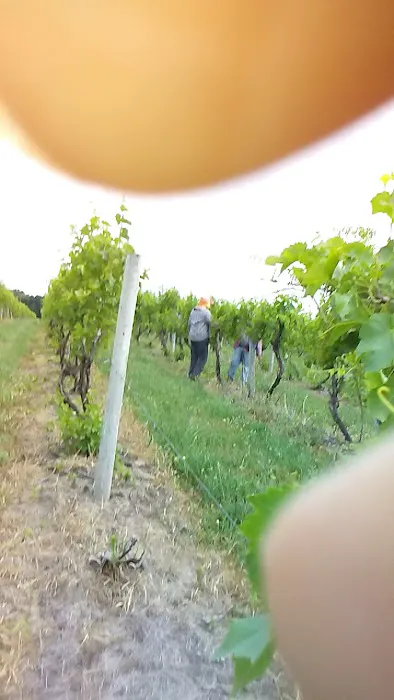 Watertight Roofing Systems Picture 1