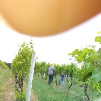 Watertight Roofing Systems ico