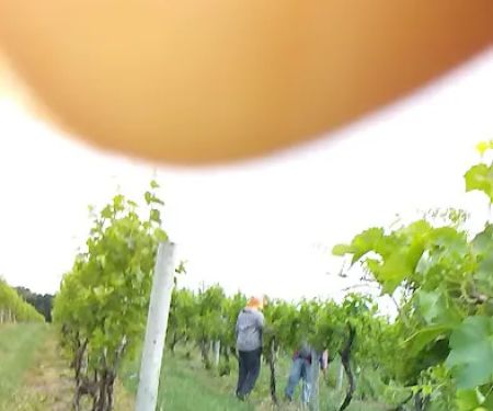 Watertight Roofing Systems