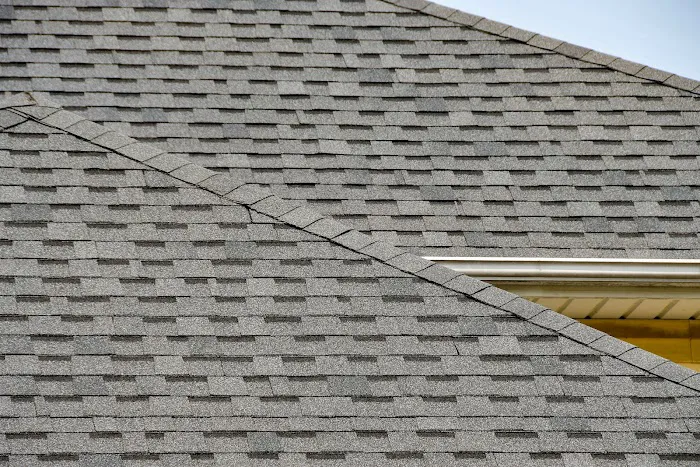 Sherriff Goslin Battle Creek Picture 4