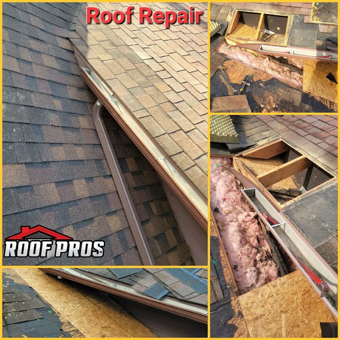 ROOF PROS Picture 10