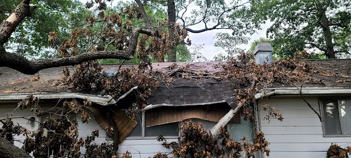 Professional Roofing Solutions & Construction LLC Picture 6