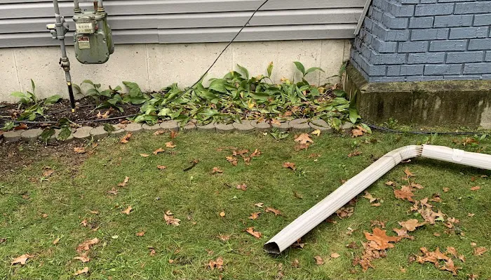 Bigs Roofing & Repair Picture 9