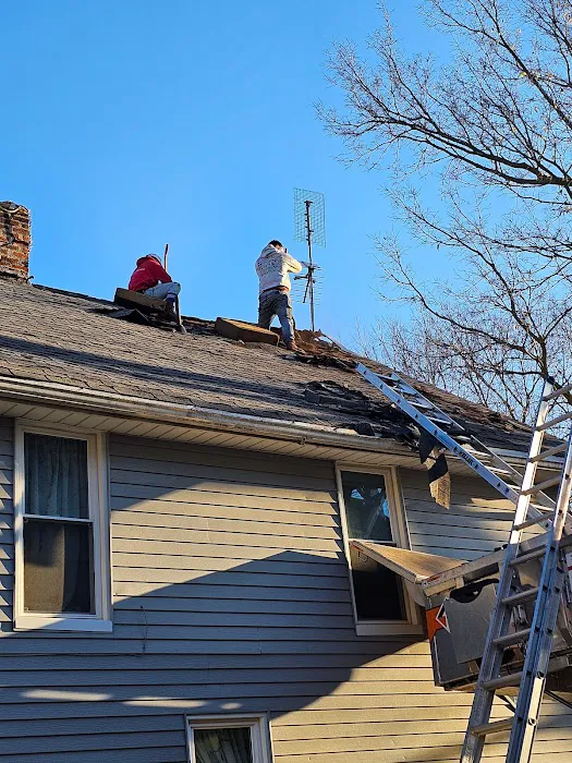 Viper Roofing LLC Picture 2