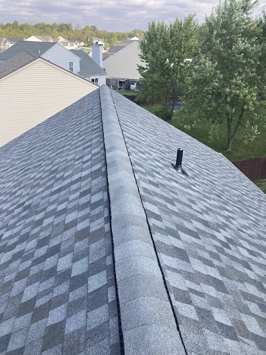 260 Roofing Picture 1