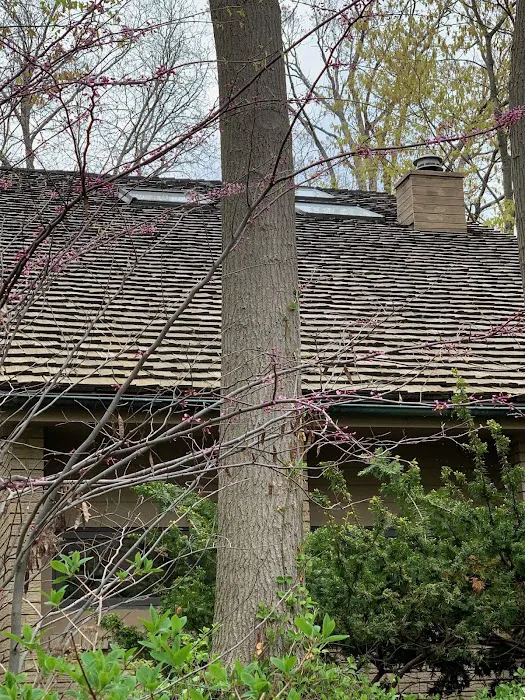 Cedar Restoration Inc. Picture 9