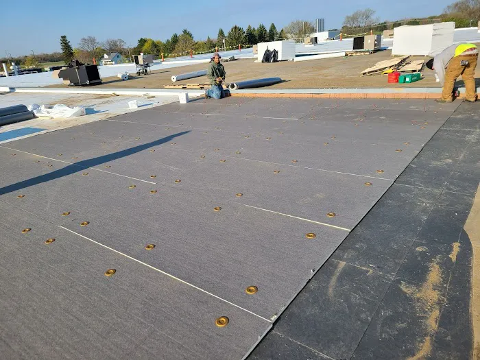 Four Seasons Kanga Roof Picture 6