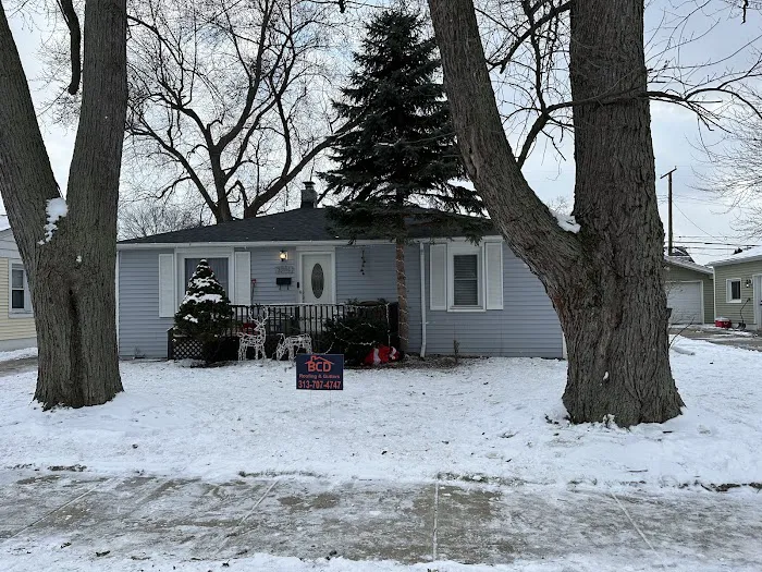 BCD Roofing Picture 6