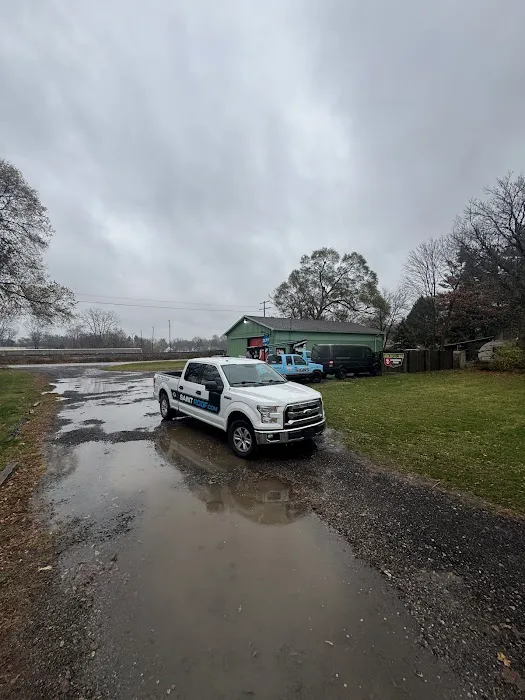 Saint Roof Picture 7