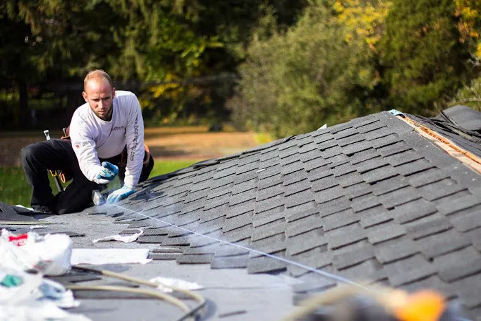 BCM Roofing Picture 3