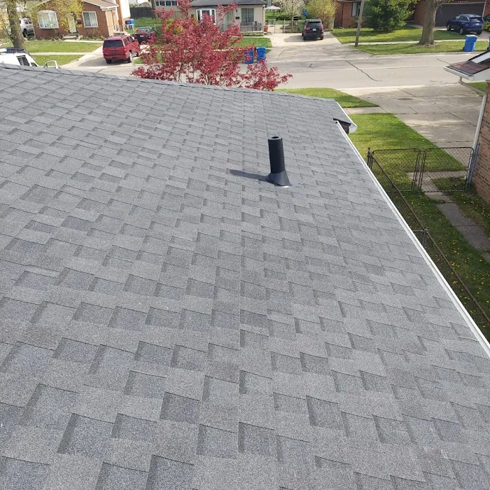 BCM Roofing Picture 6