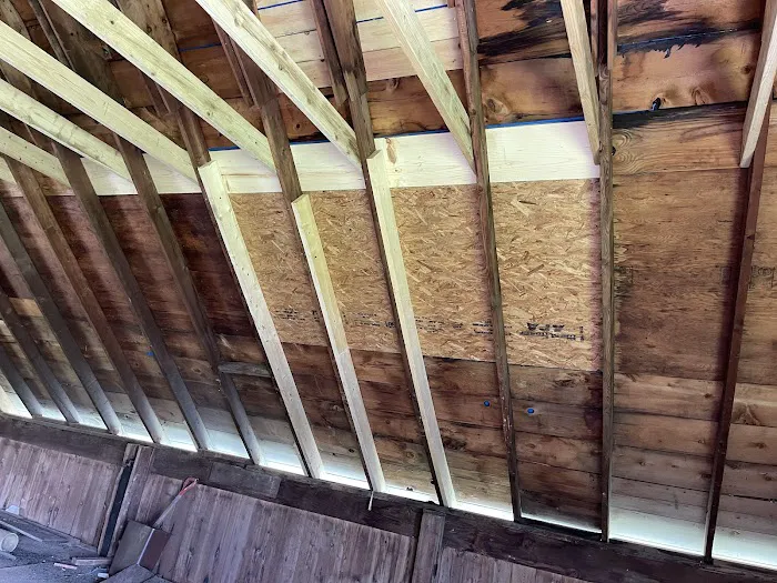 BCM Roofing Picture 4