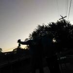 Maple Roofing & Construction Inc