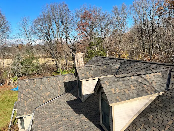 Olax Master Roofing Picture 2